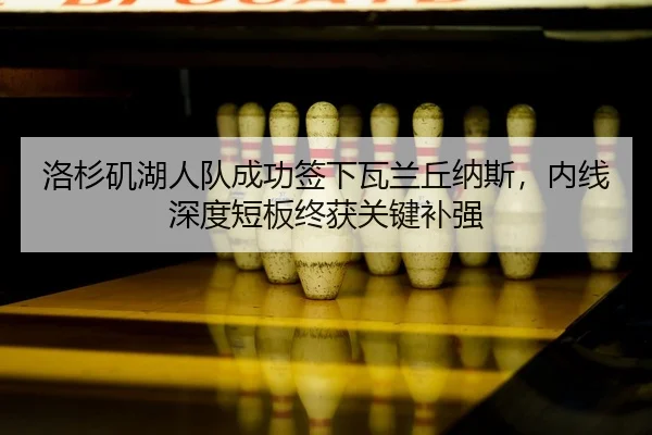 洛杉矶湖人队成功签下瓦兰丘纳斯，内线深度短板终获关键补强